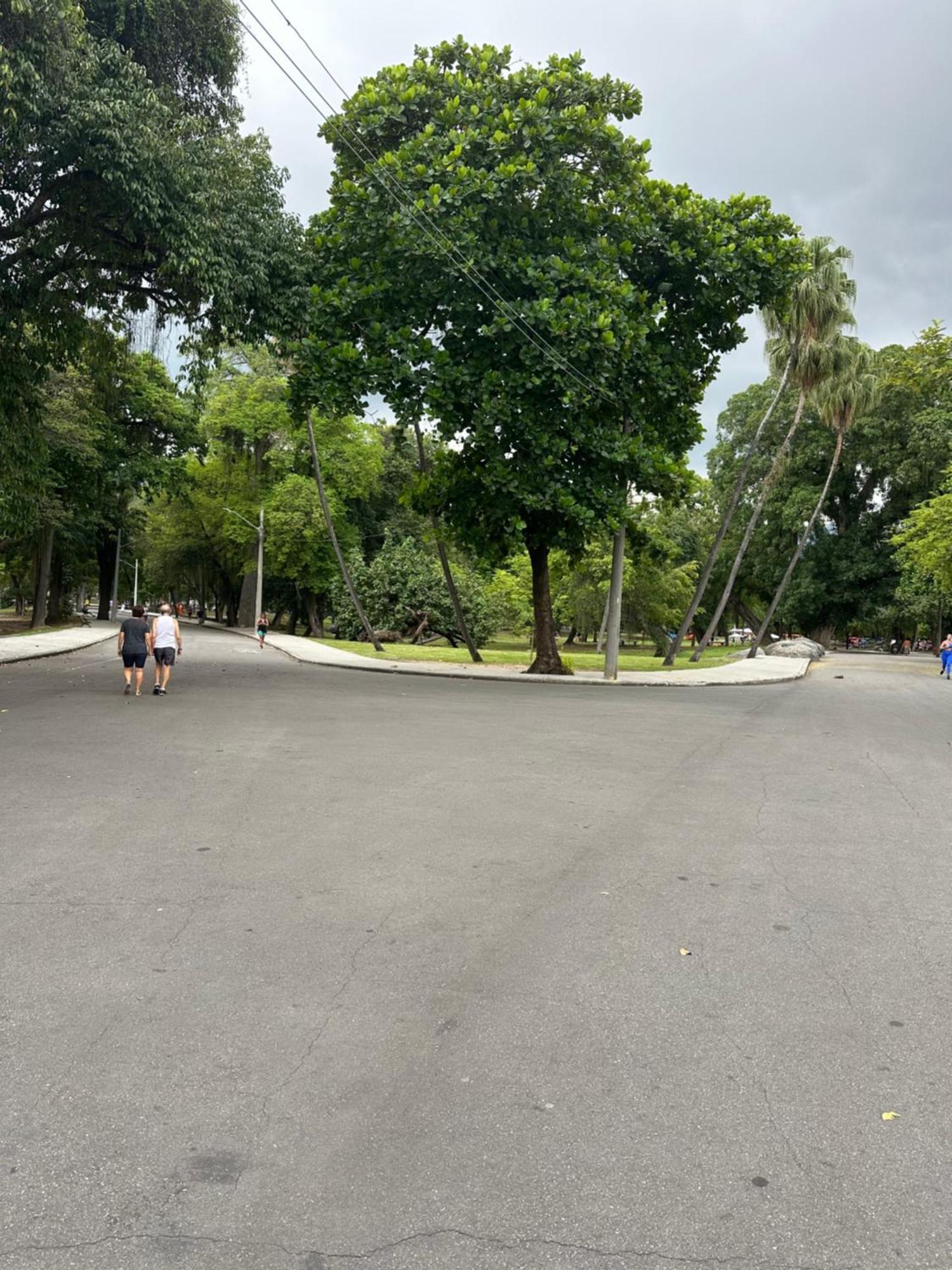 O Queridinho Río de Janeiro